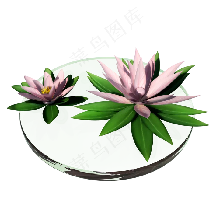 立体荷花png图(2000X2000(DPI:300))psd模版下载