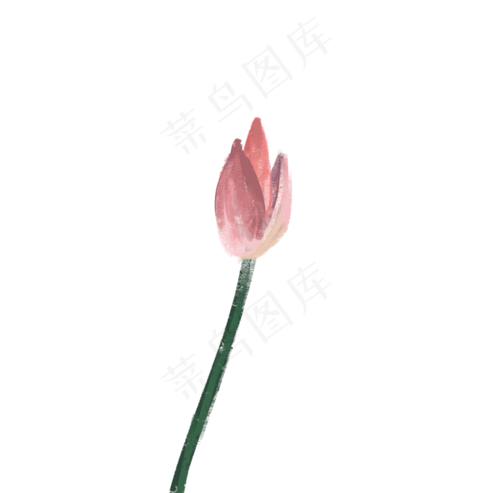 夏日风景池塘荷花花苞(1000X1000(DPI:300))psd模版下载