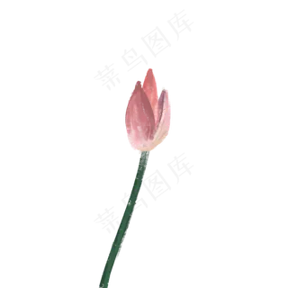 夏日风景池塘荷花花苞