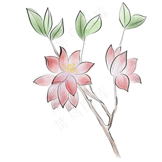 中国风桃花梅花,免抠元素 中国风桃花梅花,免抠元素