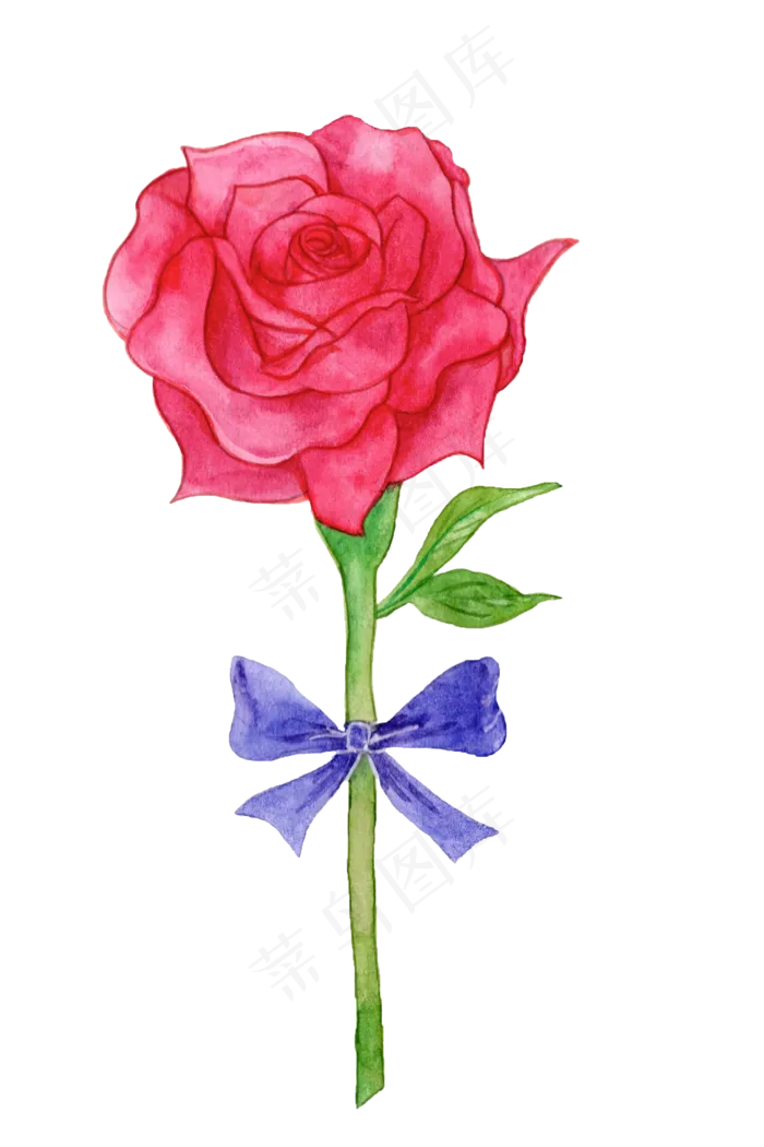 唯美玫瑰花玫瑰花枝(1776X2664(DPI:400))psd模版下载