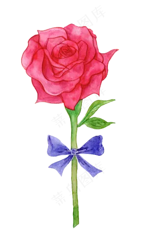 唯美玫瑰花玫瑰花枝