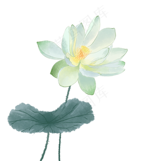 中国风荷花水彩画