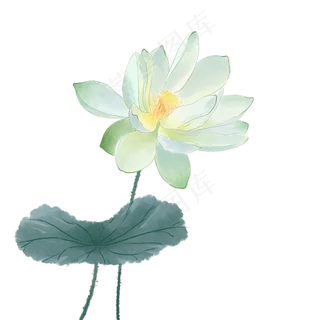 中国风荷花水彩画