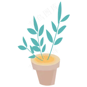 花盆春季自然植物