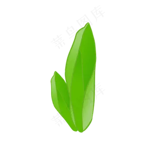 春天绿叶展开生长