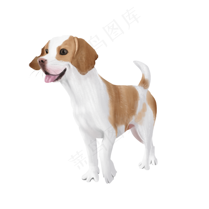 可爱宠物犬狗伴侣,免抠元素(3000*3000px 300 dpi )psd模版下载