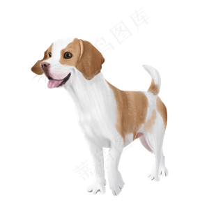 可爱宠物犬狗伴侣,免抠元素