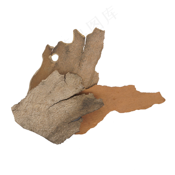 植物木头树皮,免抠元素