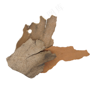 植物木头树皮,免抠元素