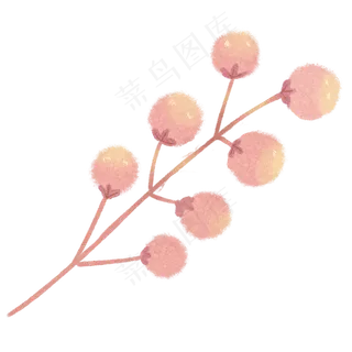 果子自然枝叶植物