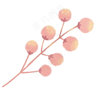 果子自然枝叶植物