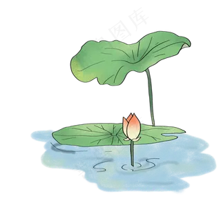 荷花夏天荷叶免抠元素