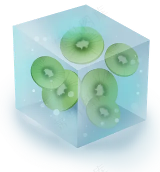 冰块里的泥猴桃