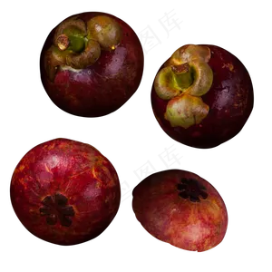 实拍果林果树水果果实