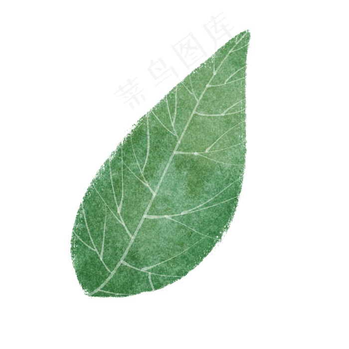 春天绿色水彩树叶