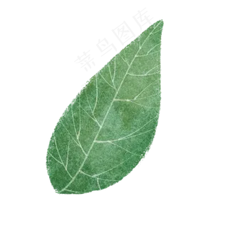 春天绿色水彩树叶