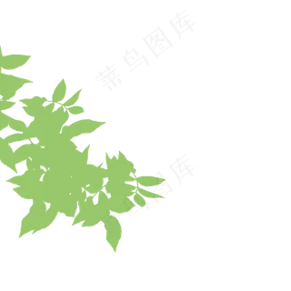 春天绿色树叶