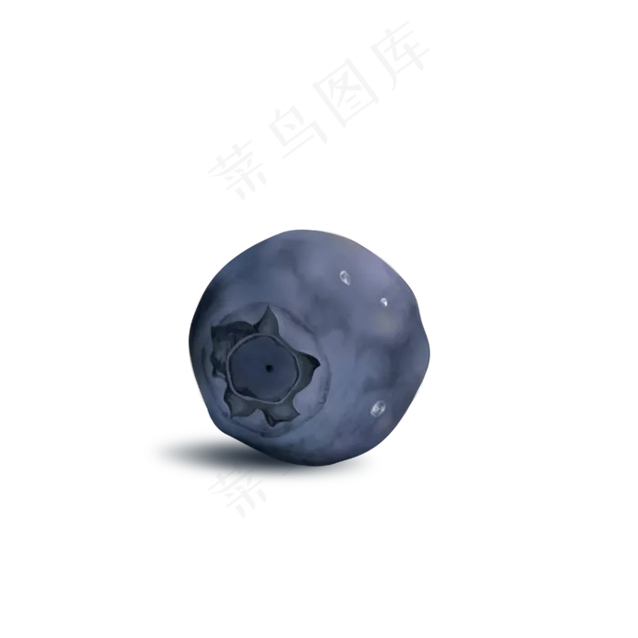 一颗蓝莓手绘水果png(4000X4000(DPI:300))psd模版下载