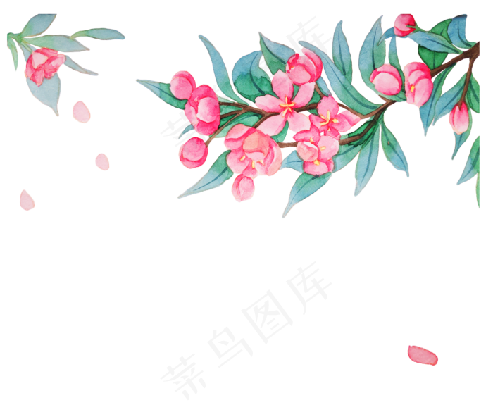 美丽花朵装饰插画