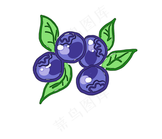 夏季水果蓝莓