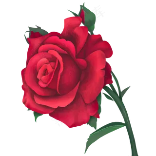 仿真花朵红玫瑰