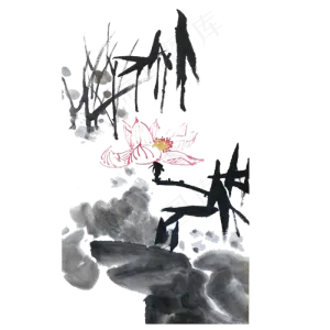 荷花水墨睡莲古典写意传统PNG
