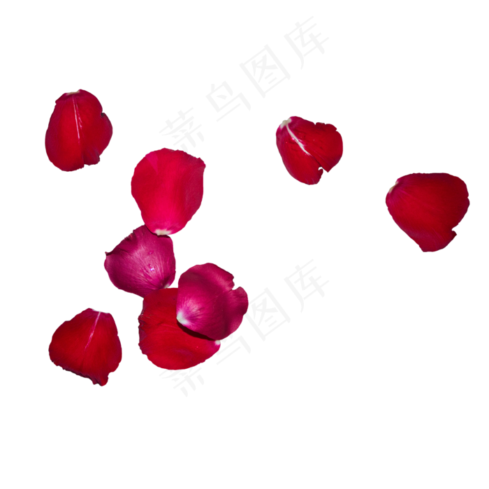 几片红色玫瑰花瓣