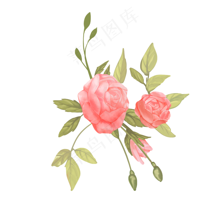 水彩植物玫瑰花