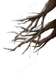 冬天落雪的树枝