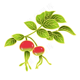 新中式国潮风水果苹果