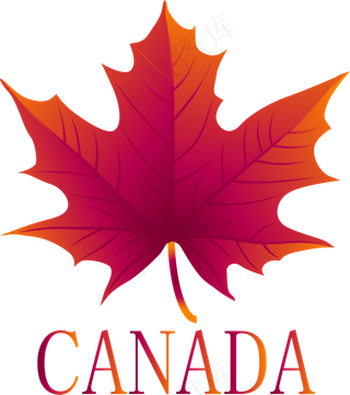 加拿大红色标志,免抠元素