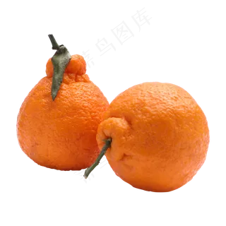 橙色水果丑橘实拍