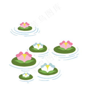 水中漂亮的荷花免抠图