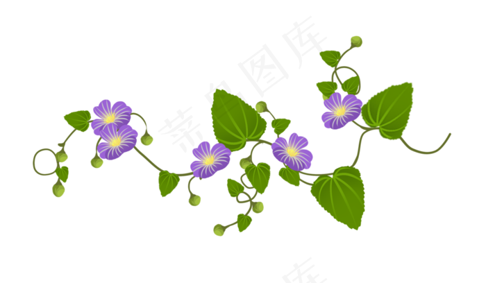 鲜艳的花朵花藤插图