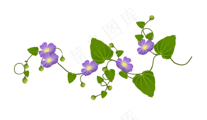 鲜艳的花朵花藤插图