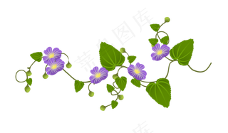 鲜艳的花朵花藤插图