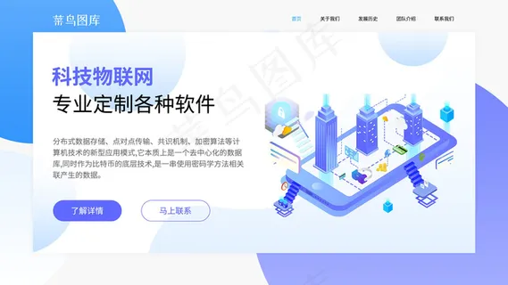 蓝色2.5d企业定制开发网站首屏