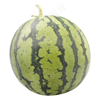绿色圆形西瓜
