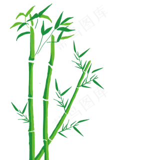 端午节竹子竹叶竹筒