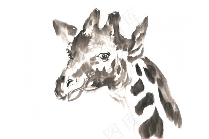 长颈鹿的头部水墨画PNG免抠素材