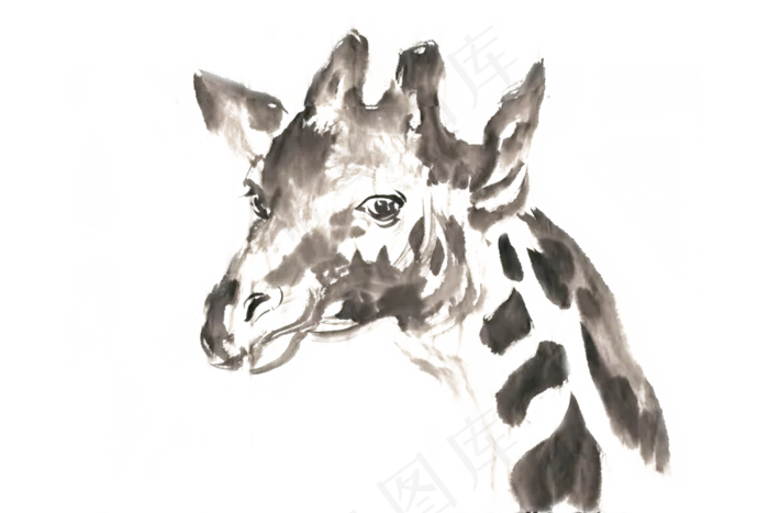 长颈鹿的头部水墨画PNG免抠素材(3300*2200px 300 dpi )psd模版下载