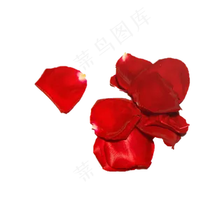 玫瑰花瓣（png免抠）