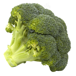 一棵西兰花,免抠元素