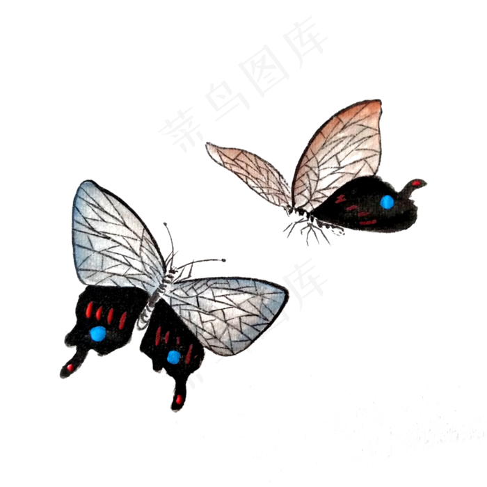水墨蝴蝶国画透明翅膀PNG,免抠元素(3000X3000(DPI:300))psd模版下载