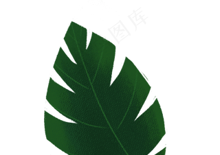 手绘卡通树叶子元素