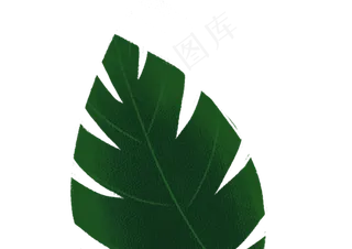 手绘卡通树叶子元素