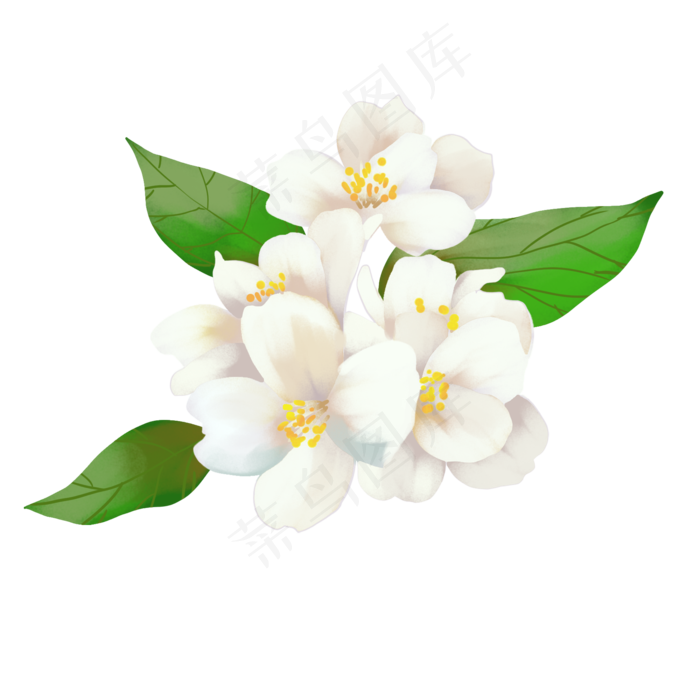 白色漂亮鲜花(2000X2000(DPI:300))psd模版下载