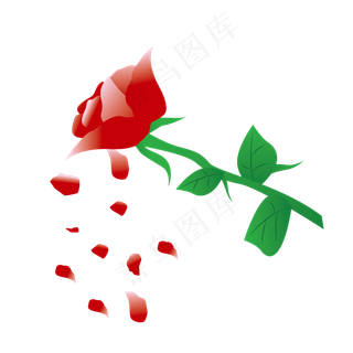 玫瑰花红色玫瑰手绘玫瑰浪漫
