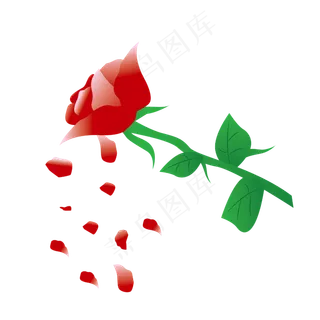 玫瑰花红色玫瑰手绘玫瑰浪漫